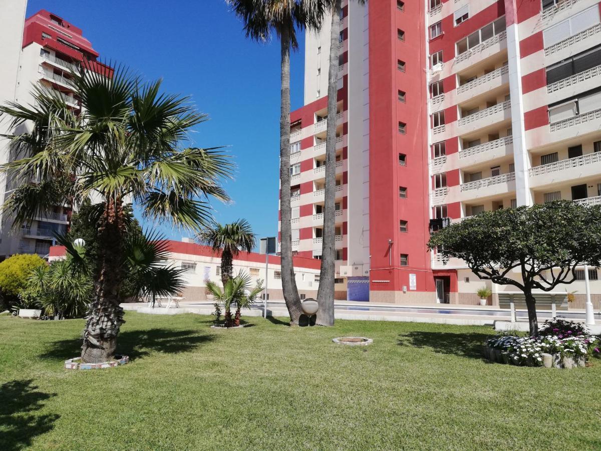 Don Ximo Solo Familia Serviplaya Playa de Gandia Exterior photo